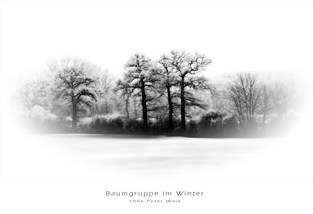 Baumgruppe im Winter