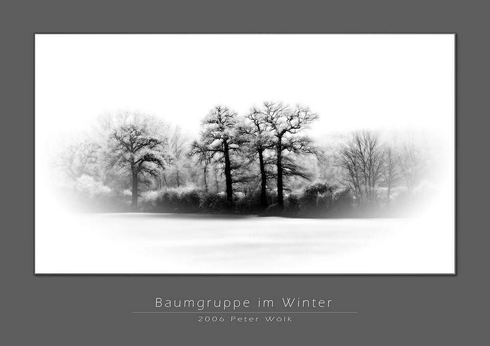 Baumgruppe im Winter