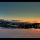 Baumgruppe in der Abendsonne