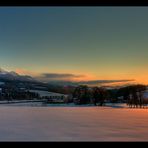 Baumgruppe in der Abendsonne