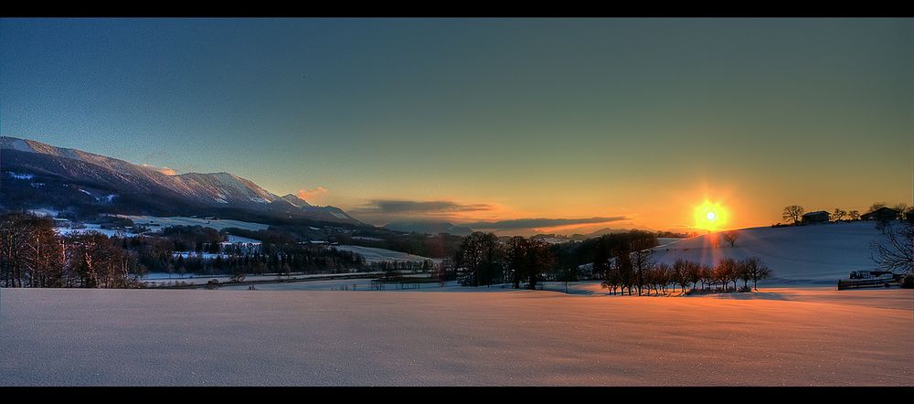 Baumgruppe in der Abendsonne