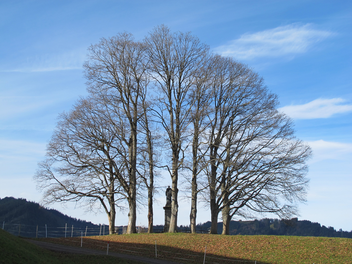 Baumgruppe St. Benedikt