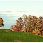 Baumgruppe_Eppishausen#2_181111