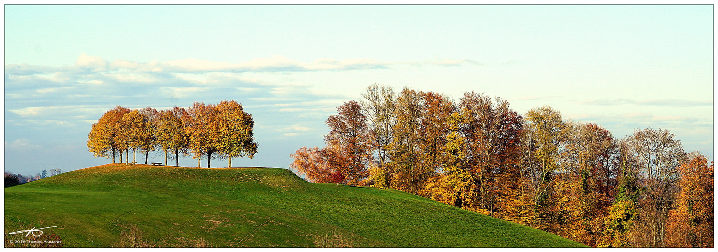 Baumgruppe_Eppishausen#2_181111