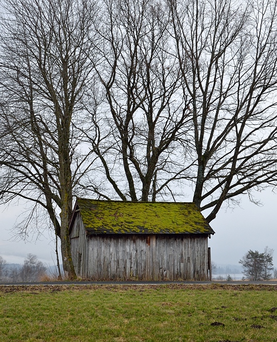 Baumhaus