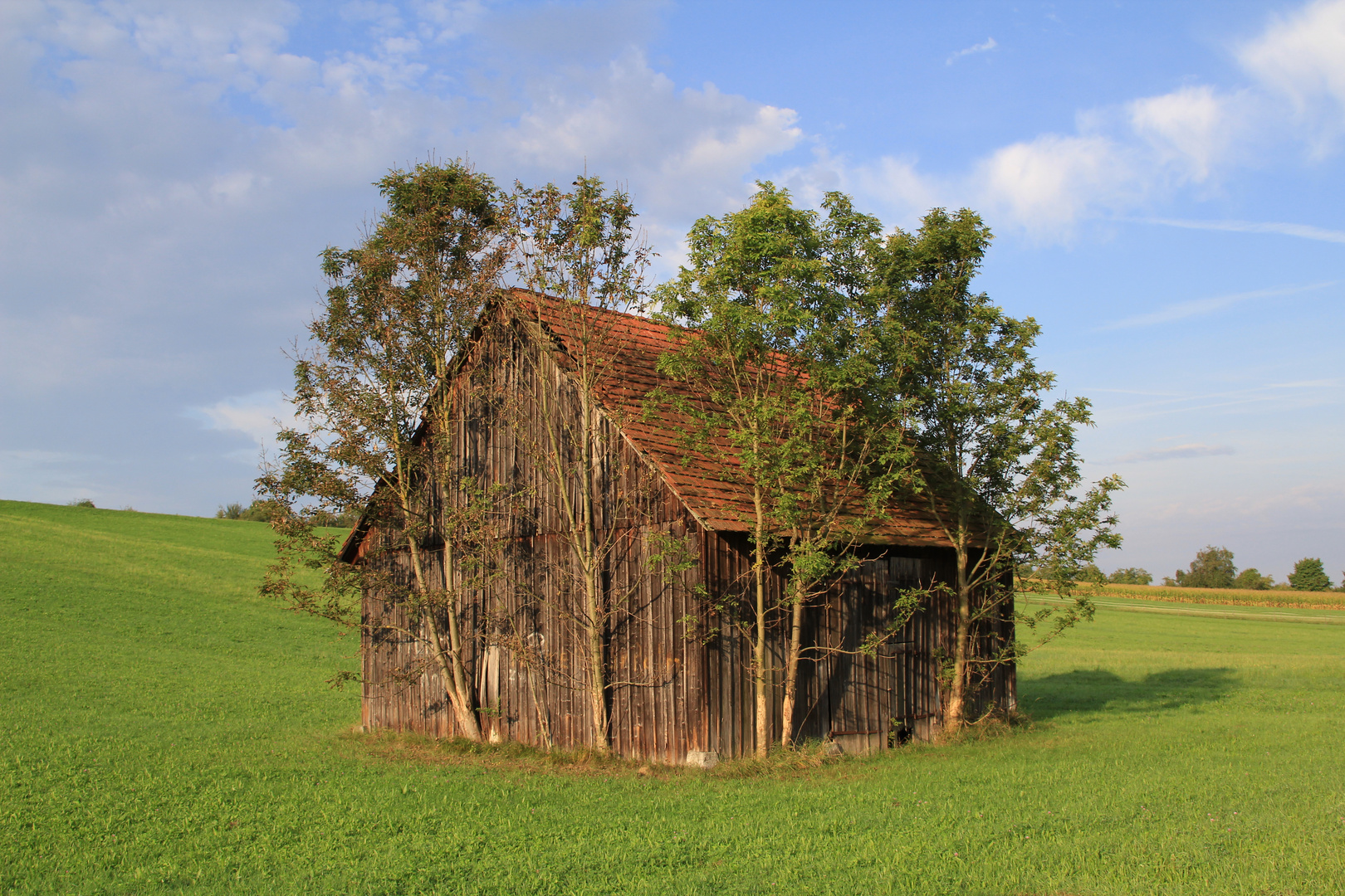 Baumhaus