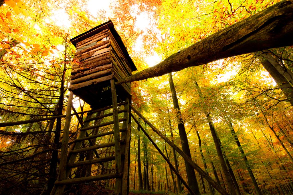 baumhaus bild schicken