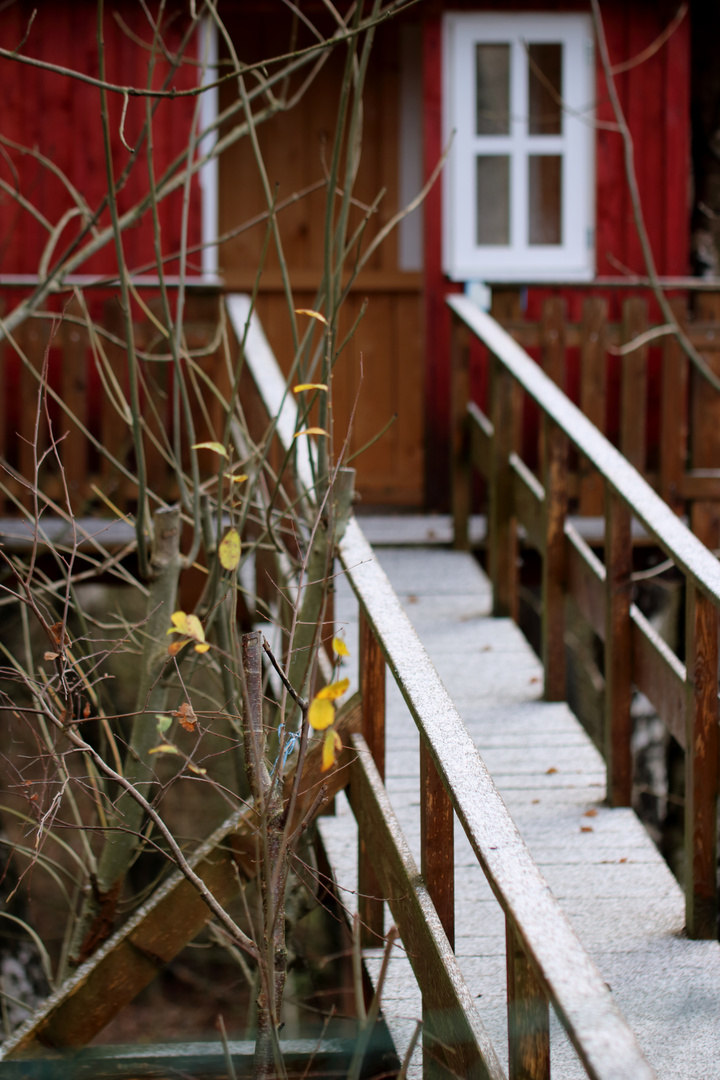 Baumhaus beim ersten Schnee