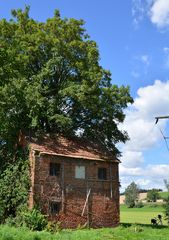 Baumhaus direkt am Fahrradweg 