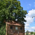 Baumhaus direkt am Fahrradweg 