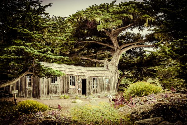 Baumhaus Erdgeschoß