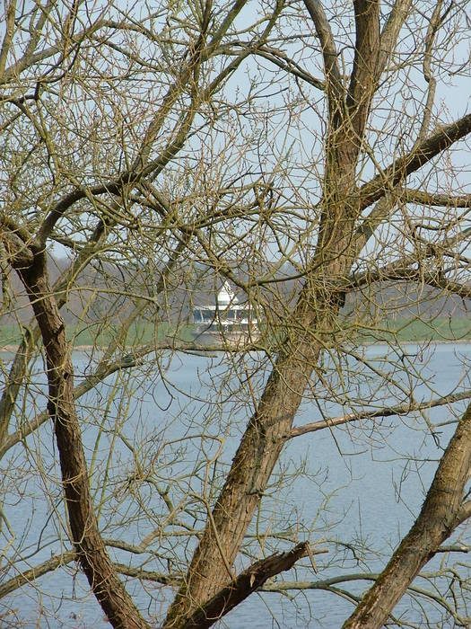 Baumhaus im Twistesee