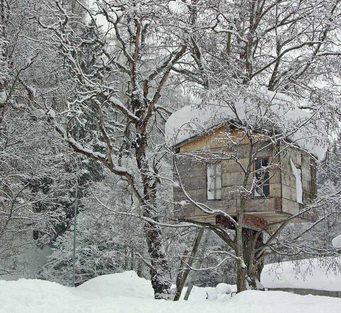 Baumhaus - Traumhaus? von Peter Hänsli