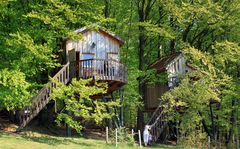 - Baumhaushotel mitten im Wald-