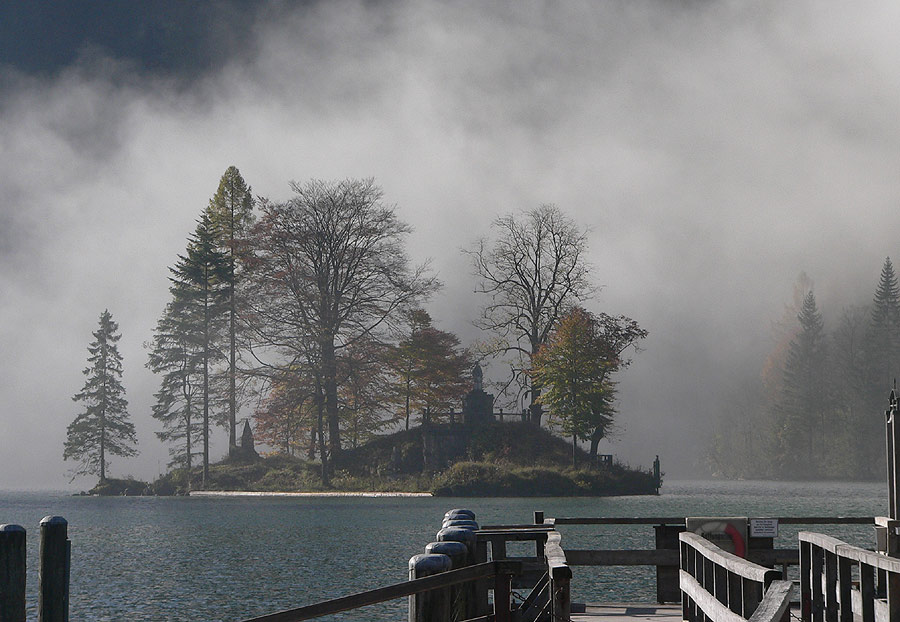 Bauminsel vor dem Nebel