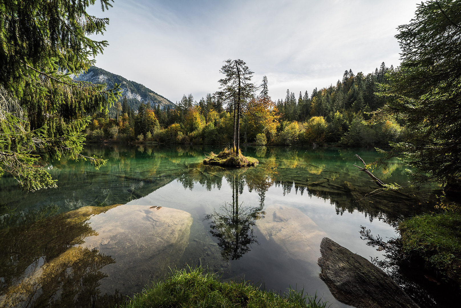 Bauminselchen im Crestasee