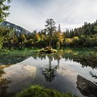 Bauminselchen im Crestasee