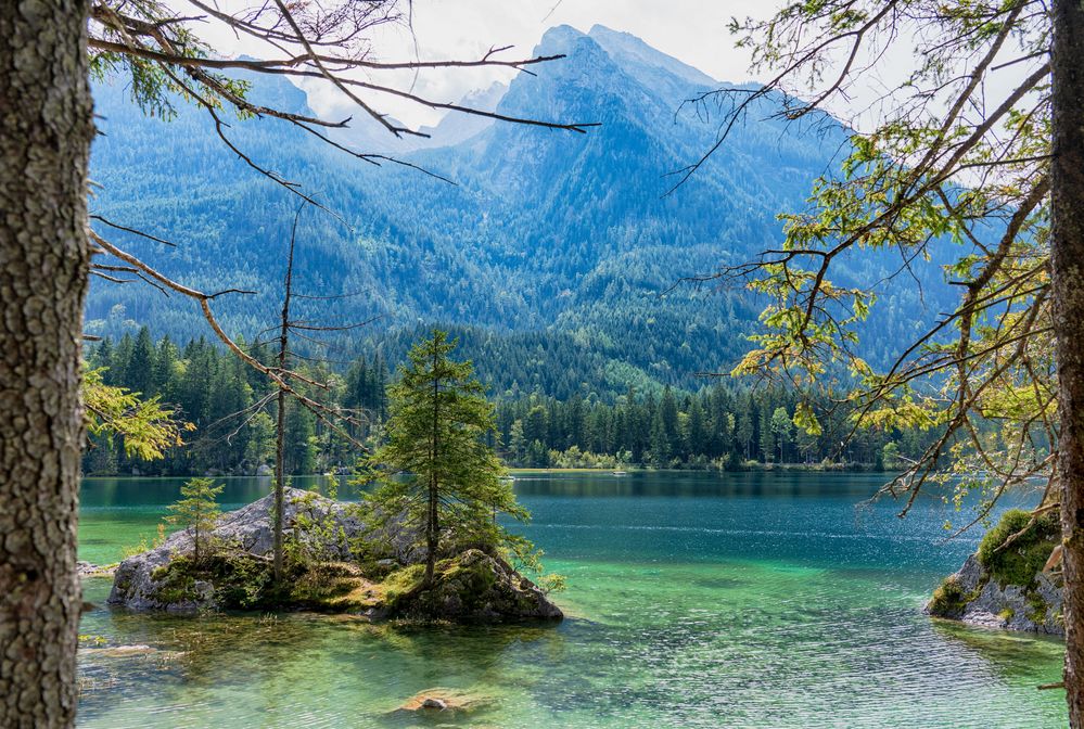 Bauminseln im Hinter-See