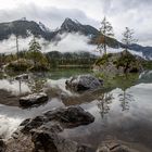 Bauminseln im Hintersee