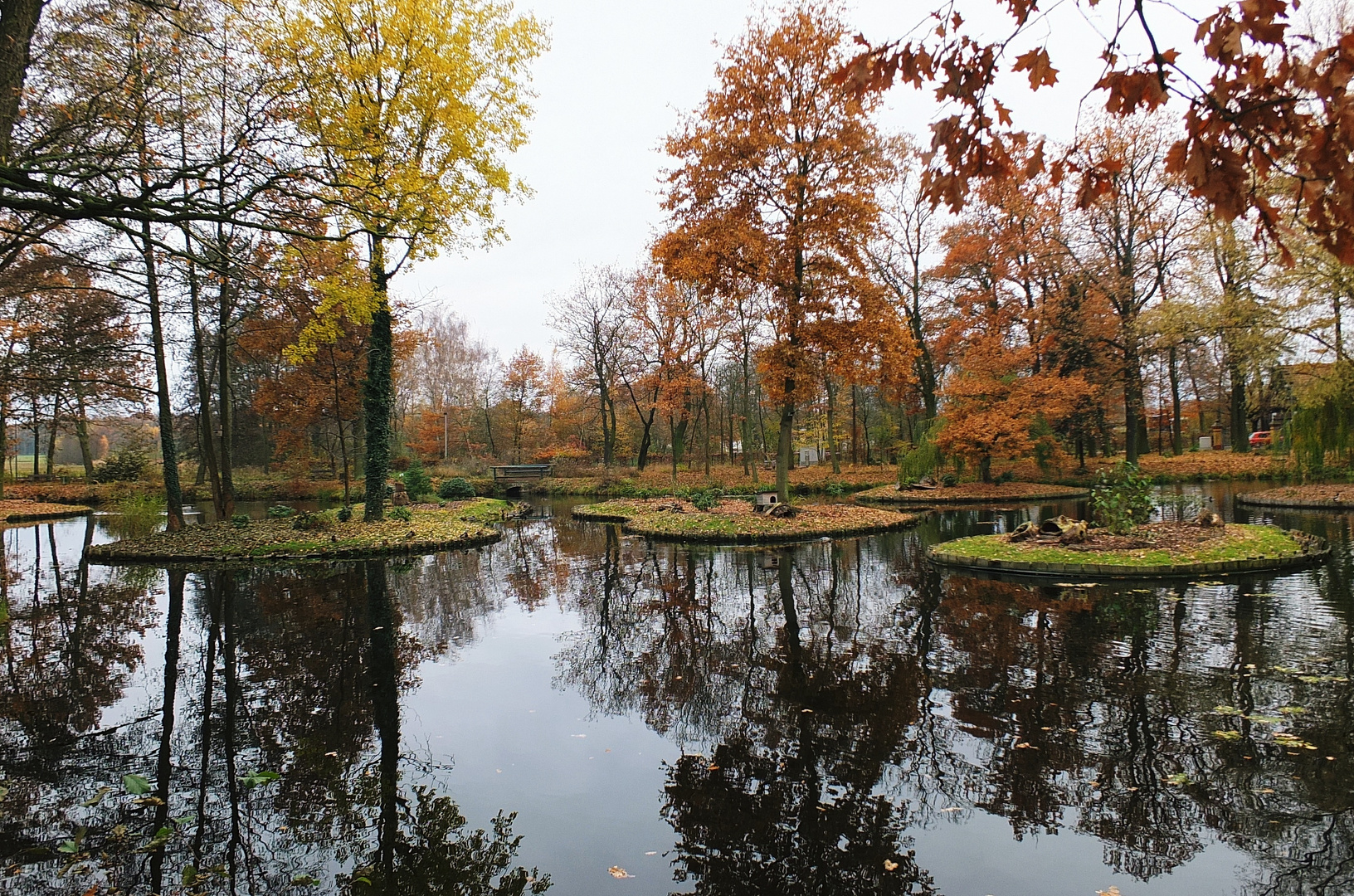 Bauminseln im Wasser