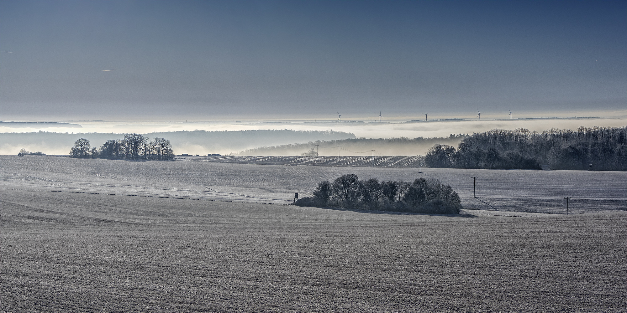 bauminseln und nebelmeer