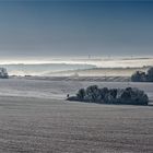 bauminseln und nebelmeer