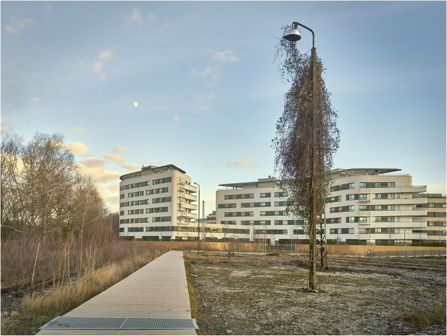 Baumkirchen Mitte im Mondenschein