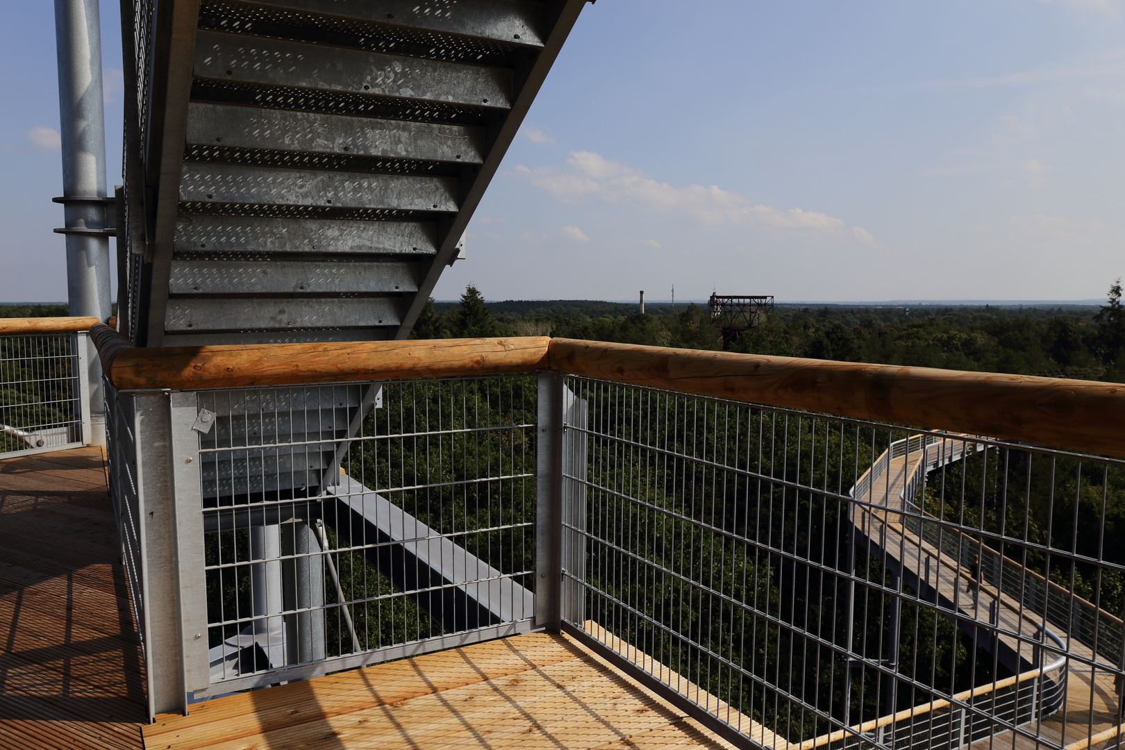 Baumkronenpfad Beelitz-Heilstätten (2)