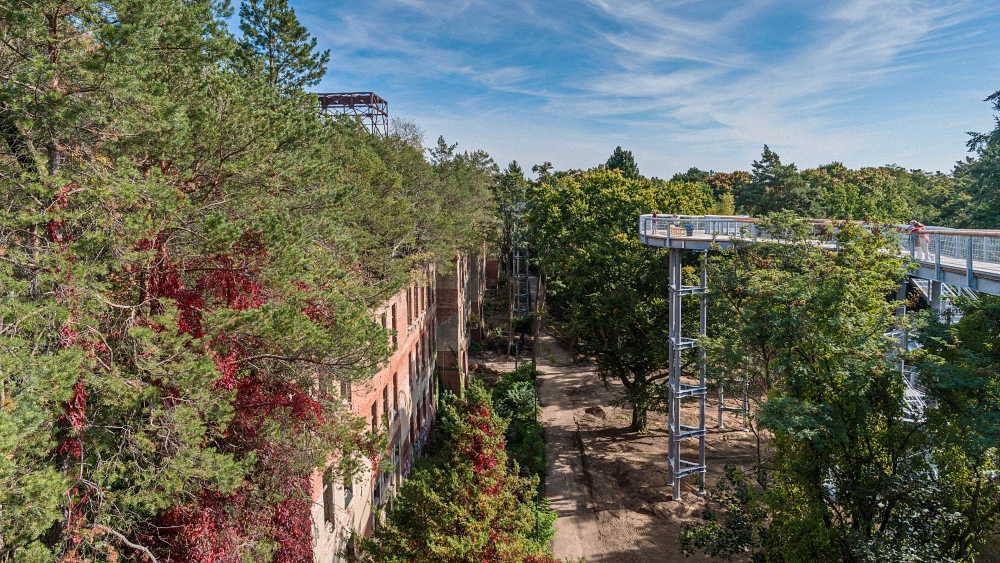 Baumkronenpfad Beelitz-Heilstätten (2)