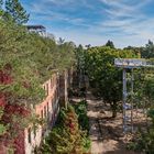 Baumkronenpfad Beelitz-Heilstätten (2)