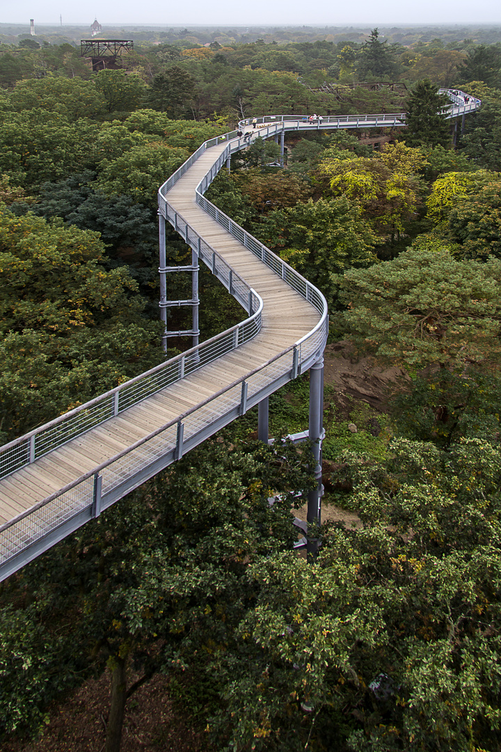 Baumkronenpfad Beelitz-Heilstätten