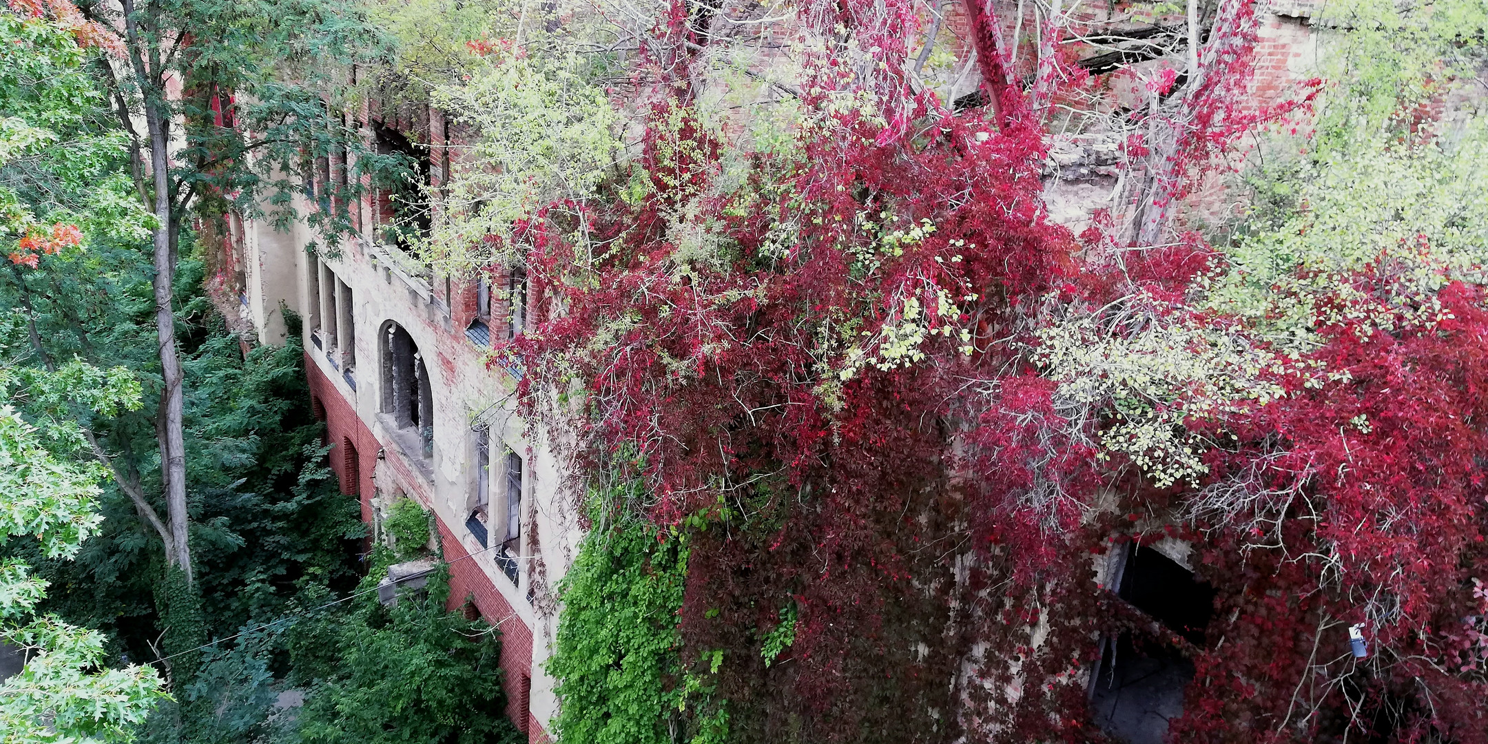 Baumkronenpfad Beelitz - Heilstätten (Ein Relikt der Vergangenheit)