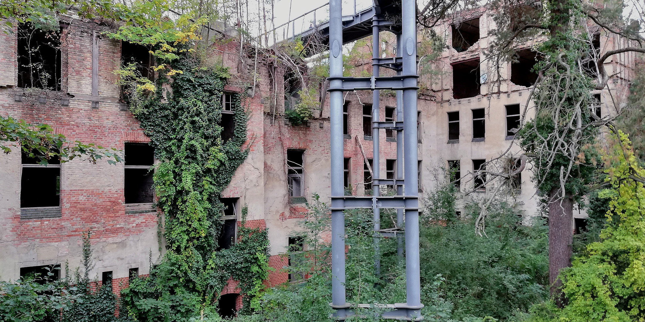 Baumkronenpfad Beelitz - Heilstätten (Land Brandenburg)