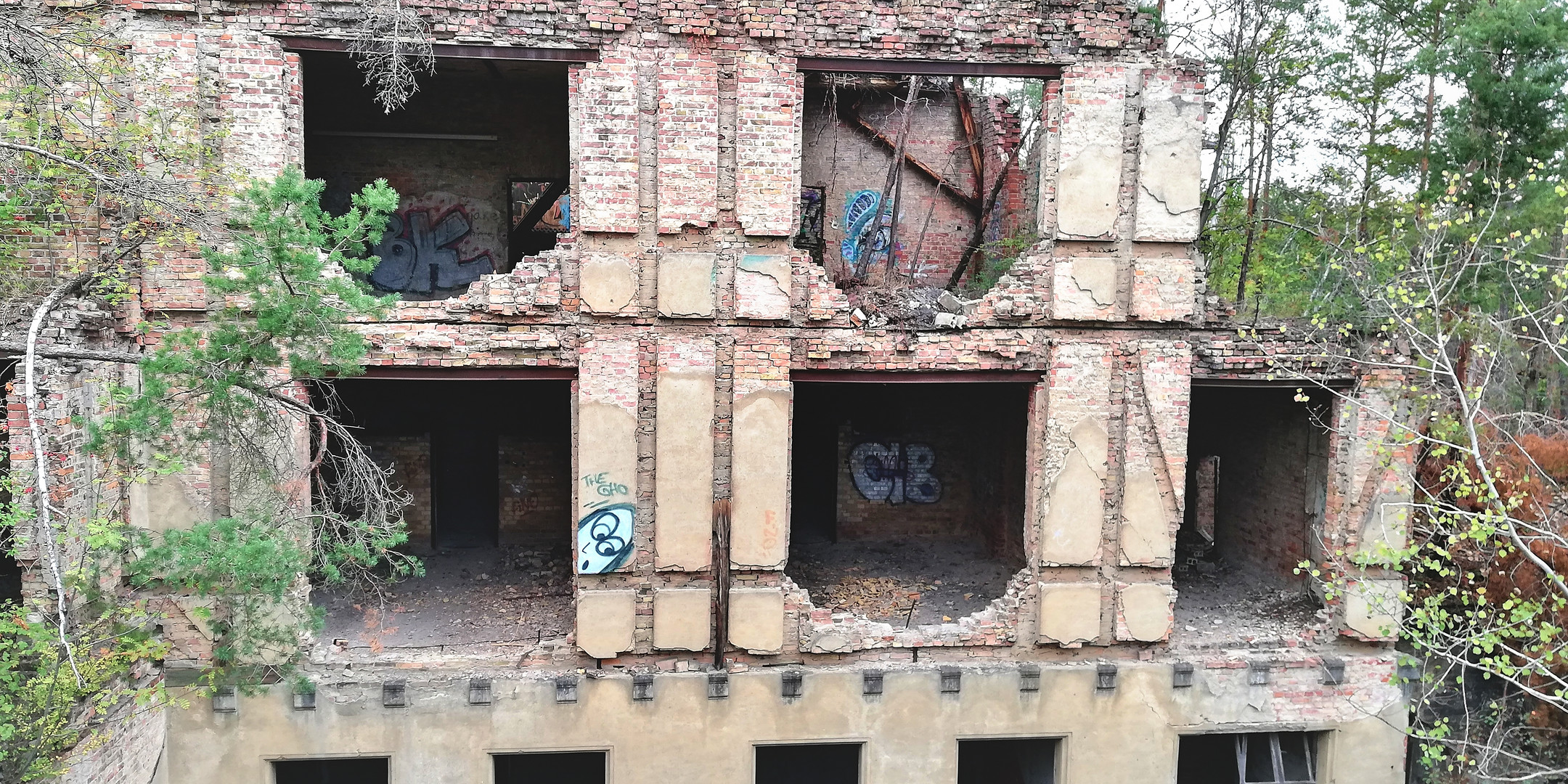 Baumkronenpfad Beelitz - Heilstätten (Land Brandenburg)