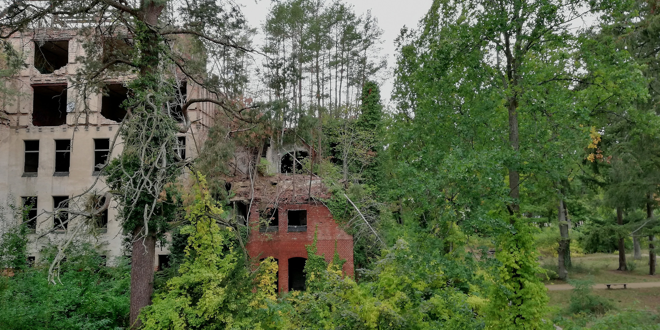 Baumkronenpfad Beelitz - Heilstätten (Land Brandenburg)