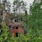 Baumkronenpfad Beelitz - Heilstätten (Land Brandenburg)