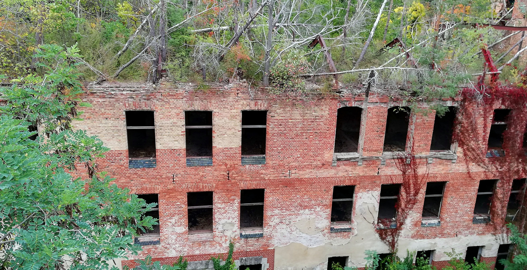 Baumkronenpfad Beelitz - Heilstätten (Land Brandenburg)