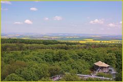 Baumkronenpfad bei Bad-Langensalza