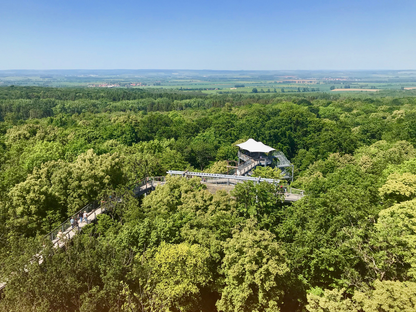 Baumkronenpfad Hainich