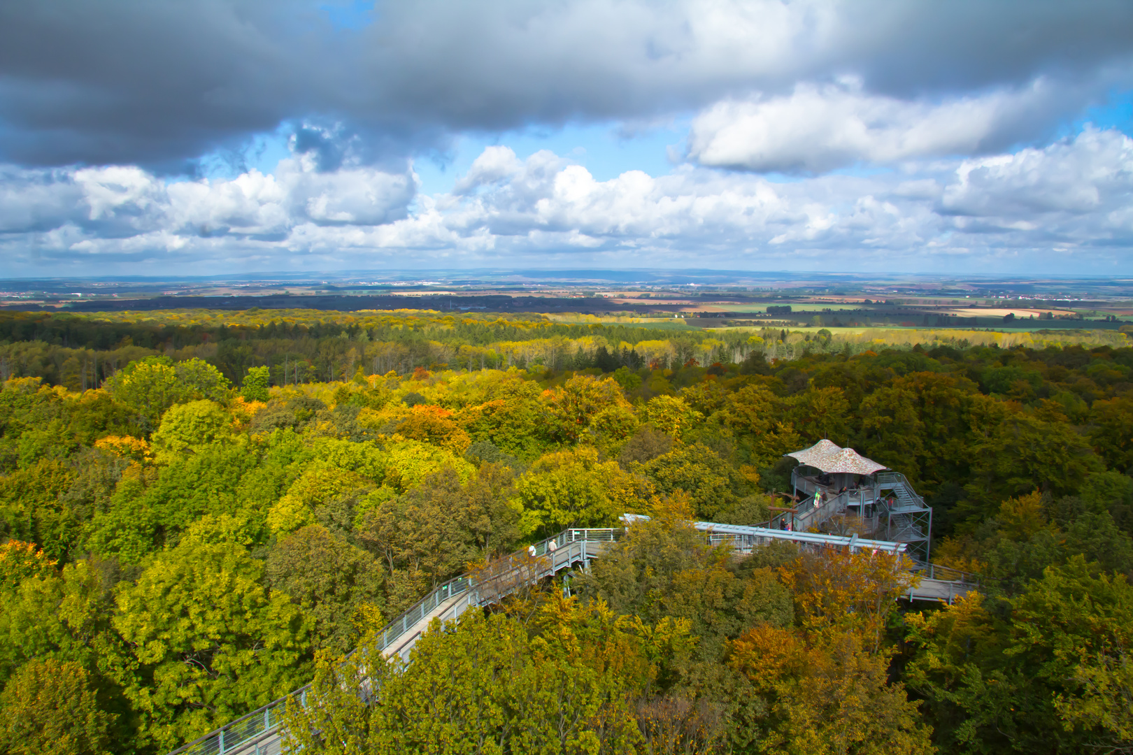 Baumkronenpfad im angehenden Urwald