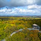 Baumkronenpfad im angehenden Urwald