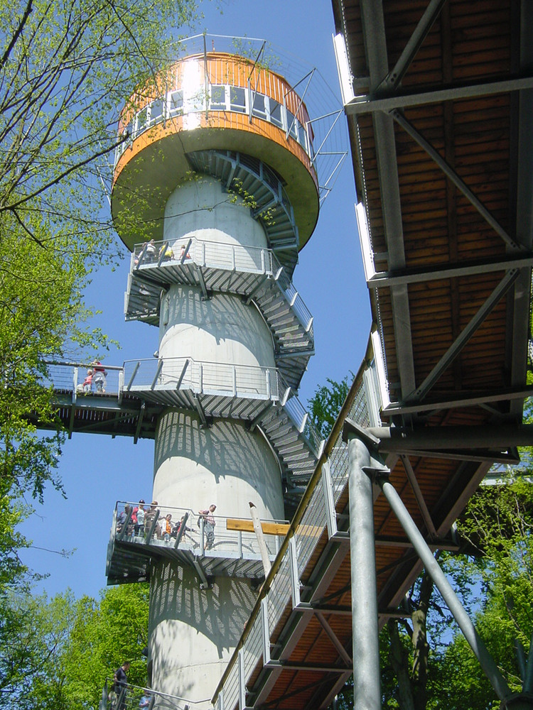 Baumkronenpfad im Hainich