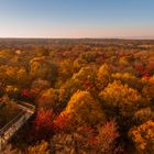 Baumkronenpfad im Nationalpark Heinich