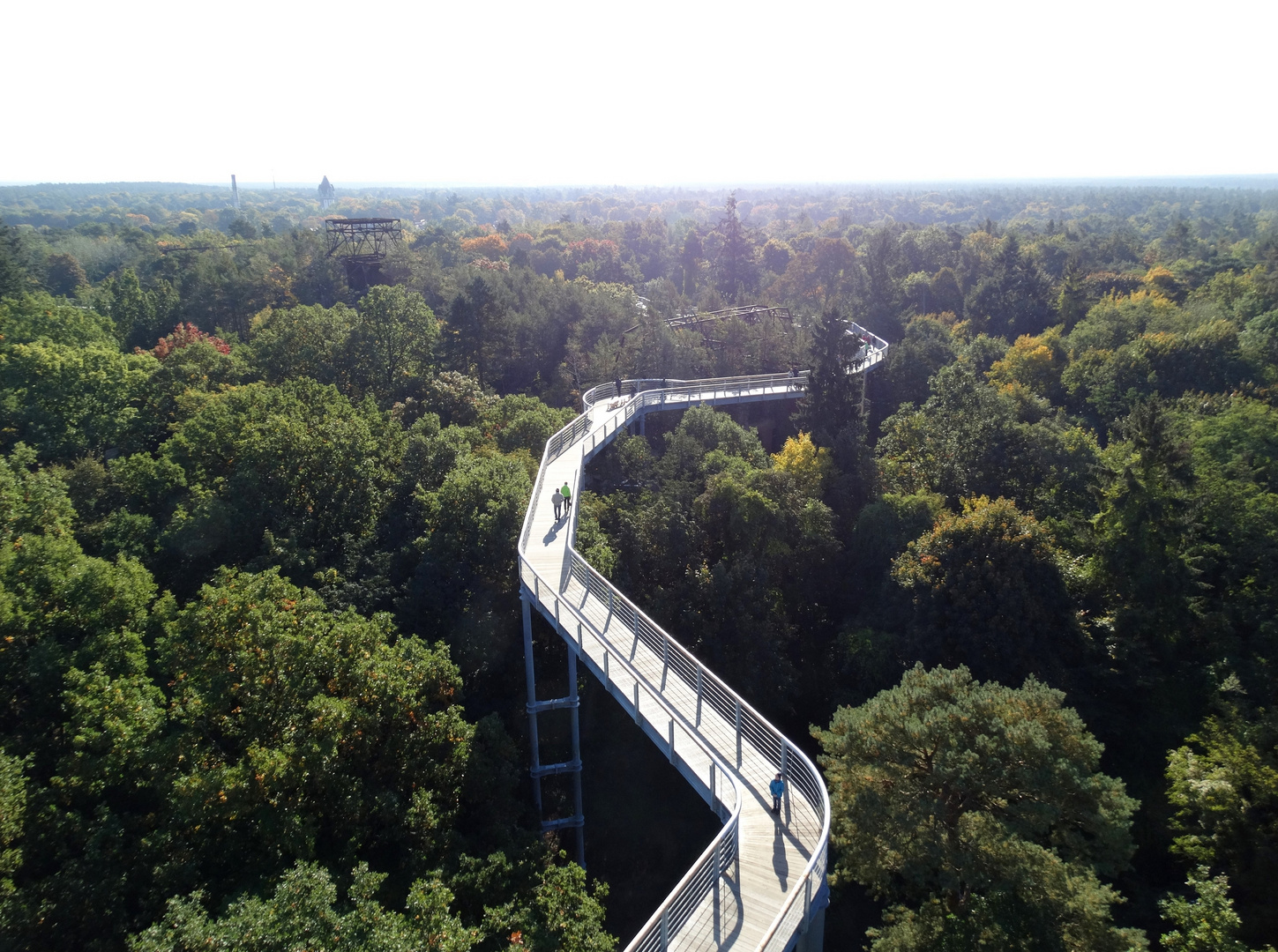 Baumkronenpfad in Beelitz-Heilstätten