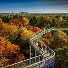 Baumkronenpfad in den Beelitzer Heilstätten