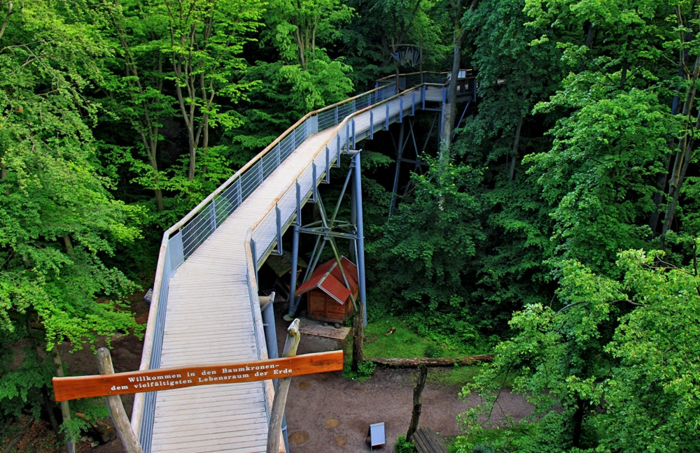 Baumkronenpfad Thiemsburg (6)