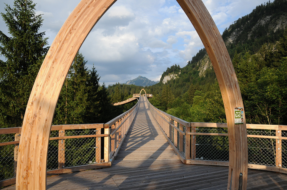 Baumkronenweg WEZ Füssen #1