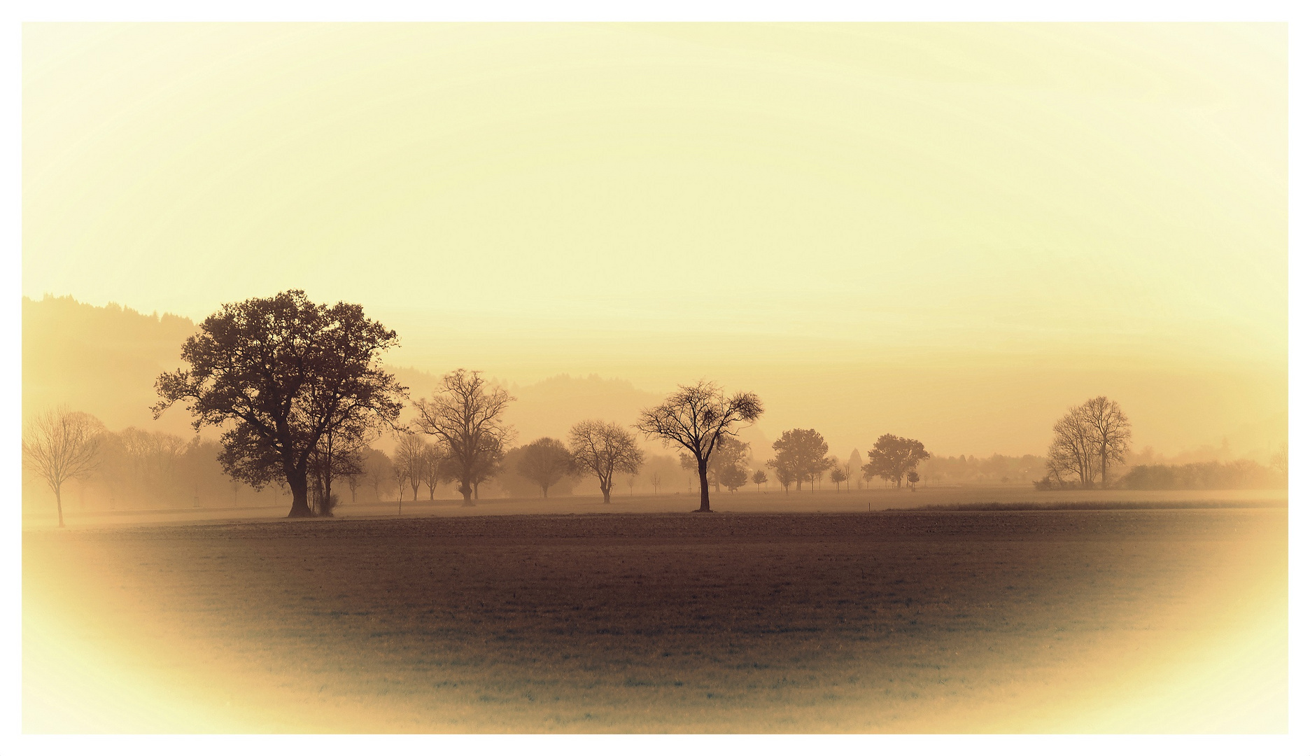 baumlandschaft