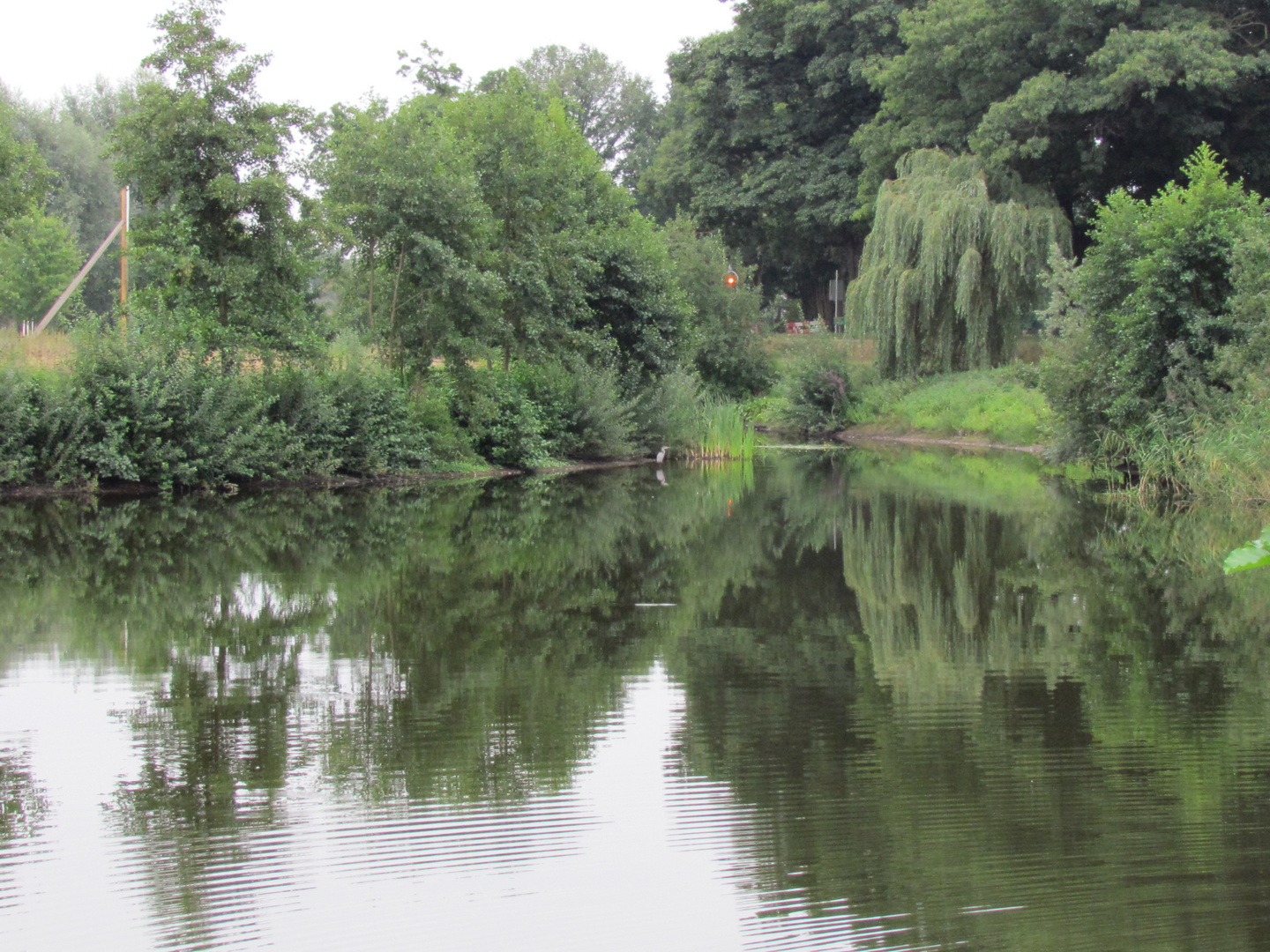 baumlandschaft