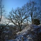 Baumlandschaft im Schnee